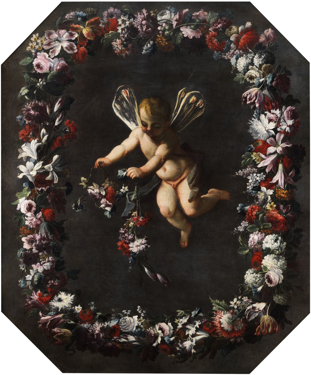 Putto met Libellenvleugels in Bloemenkrans door attributed to Giovanni Stanchi Dei Fiori