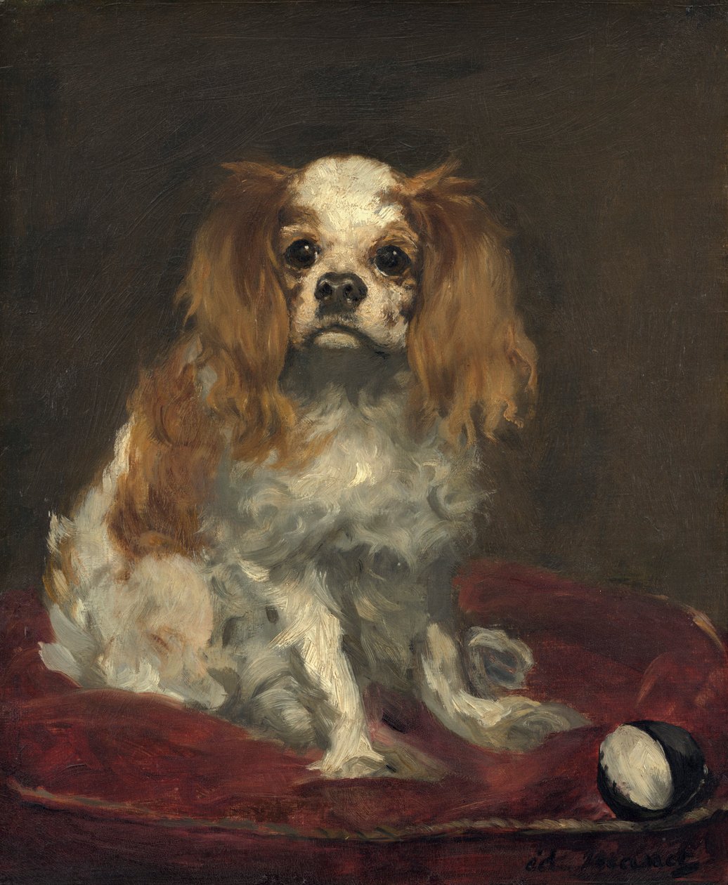 Een King Charles Spaniel door Édouard Manet