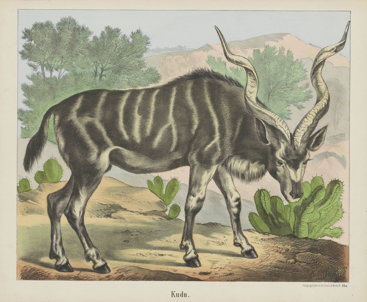 Kudu door firma Joseph Scholz