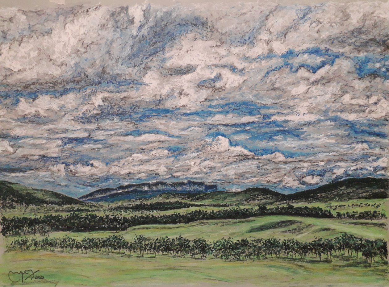 De Grote Savanne Venezuela door miguelmendez_art.ve