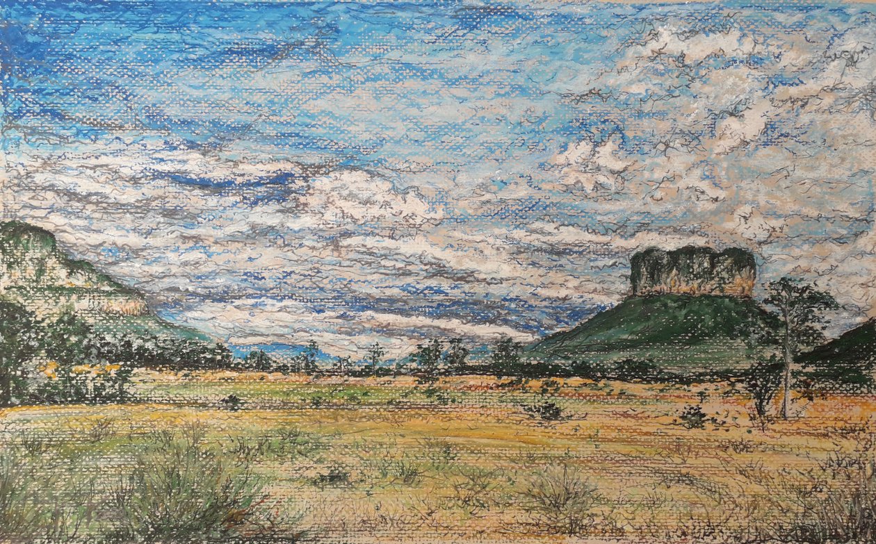 De Grote Savanne Venezuela door miguelmendez_art.ve