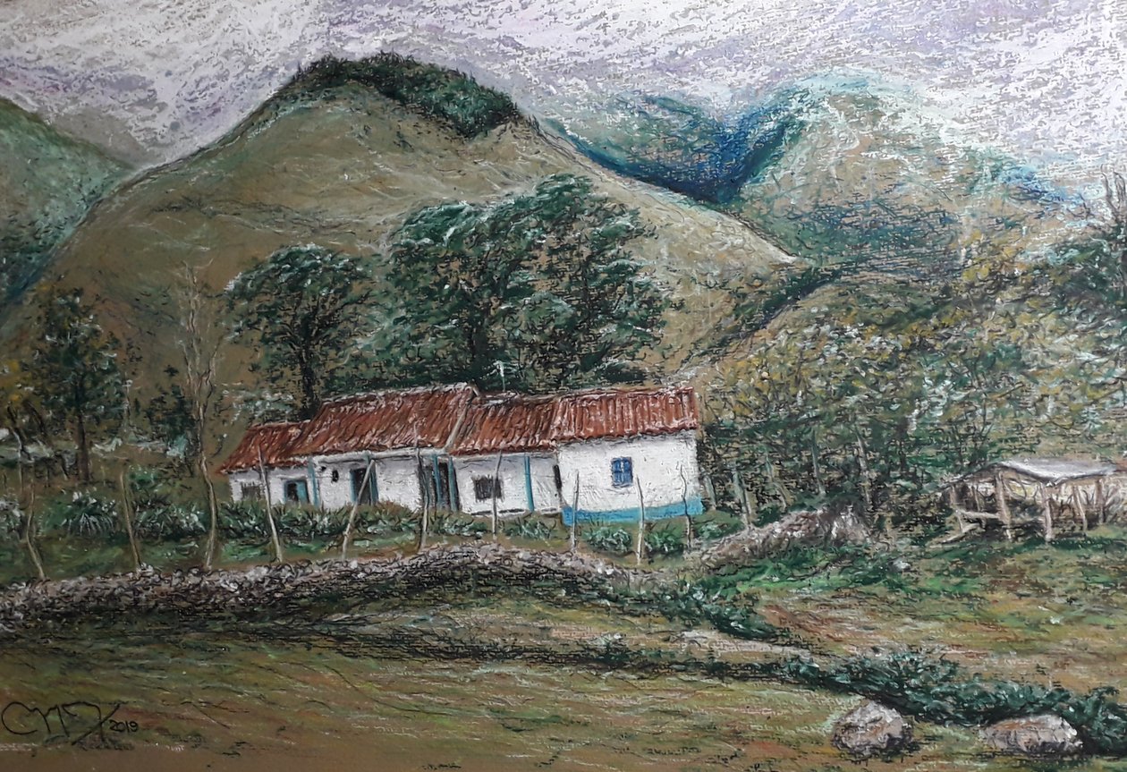Andeslandschap - Llano Largo Venezuela door miguelmendez_art.ve