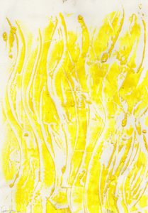 Zonnestorm Zonnestorm