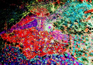 Spaanse danser Spaanse danser