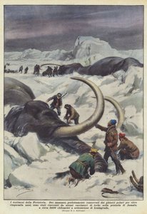 De getuigen van de prehistorie
