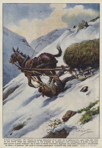 De neurotische muilezel