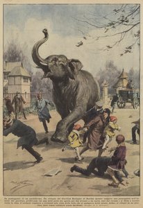 De wandeling van een pachyderm