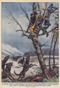 De redding in de boom