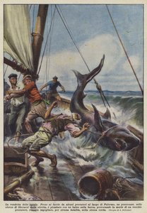 De wraak van de haai