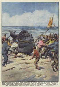 Bijna een monster!