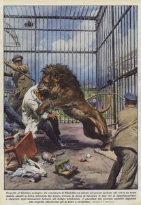 Tragedie in de dierentuin