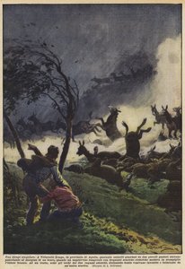 Een bijzondere slachting