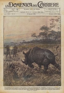 Een groot jachtavontuur in Afrika