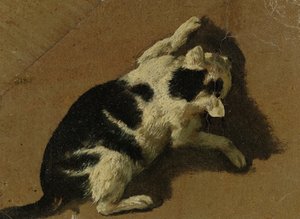 Kat aan het spelen