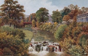De tuinen, Buxton