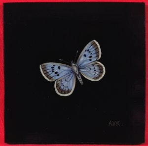 Grote blauwe vlinder, 2000