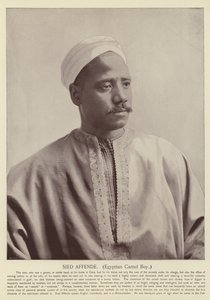 Sied Affende, Egyptische Kameeljongen