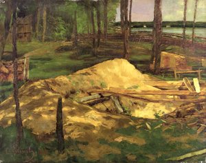 Zaagselput, 1876