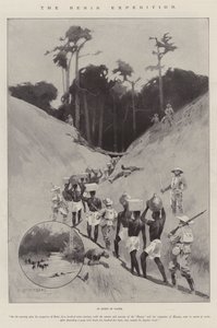 De Benin-expeditie
