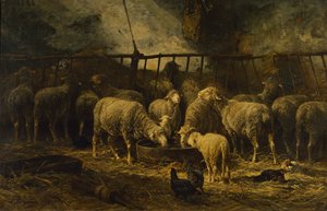 De grote schaapskooi, 1881