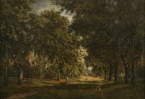 Landschap