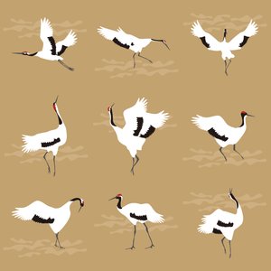Oosterse kraanvogels