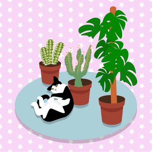De Kat en de Cactussen