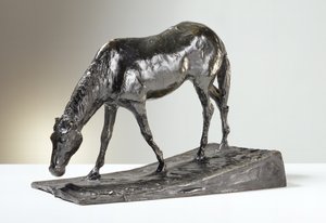 Paard bij de Drinkbak