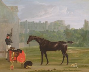 Buiten het wachthuis in Windsor