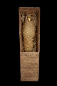 Mummie in kist, uit Hawara