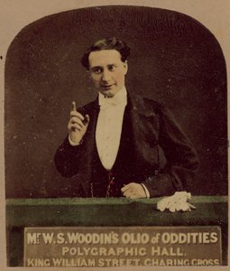 Mr W S Woodins Olio van Vreemdheden