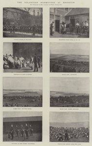 De Vrijwilligersmanoeuvres in Brighton