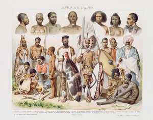 Afrikaanse rassen