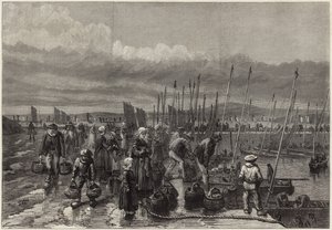 Sardinevisserij aan de kust van Bretagne