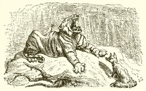 De Vos en de Tijger