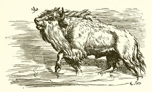 De Mug en de Stier