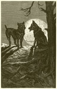De Wolf en de Mastiff