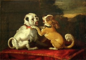 Spelende honden
