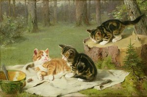 Spelende Kittens