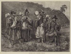 Reizende lama