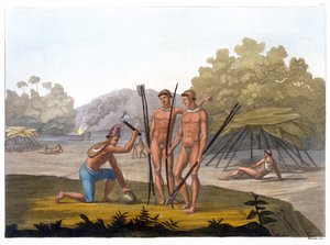 Patacho Stammen (kleurgravure)