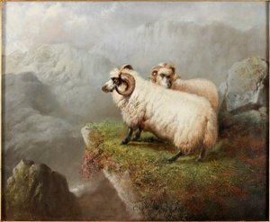 Schapen op een Klifrand, ca.1865-68