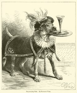 Hond draagt bord