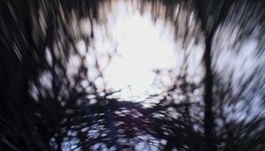 Watertapijt III, 2017