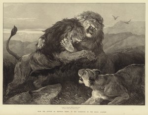Fel als strijdende vuren brandt het gevecht