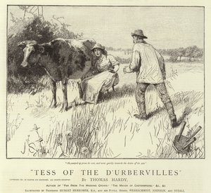 Tess of the D