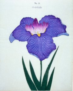 Al-Al-Gasa, nr.19, 1898