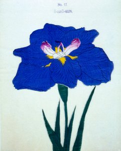 O-Sho-Kun, nr.12, 1898