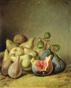 Fruit stilleven