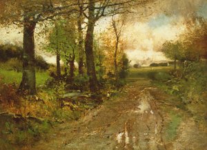 Weg door het bos